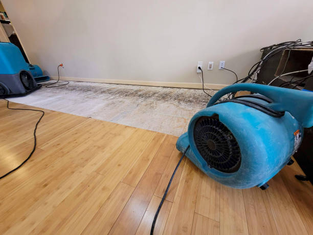 Professional Water Damage Repair technician working in Woodstock, VA